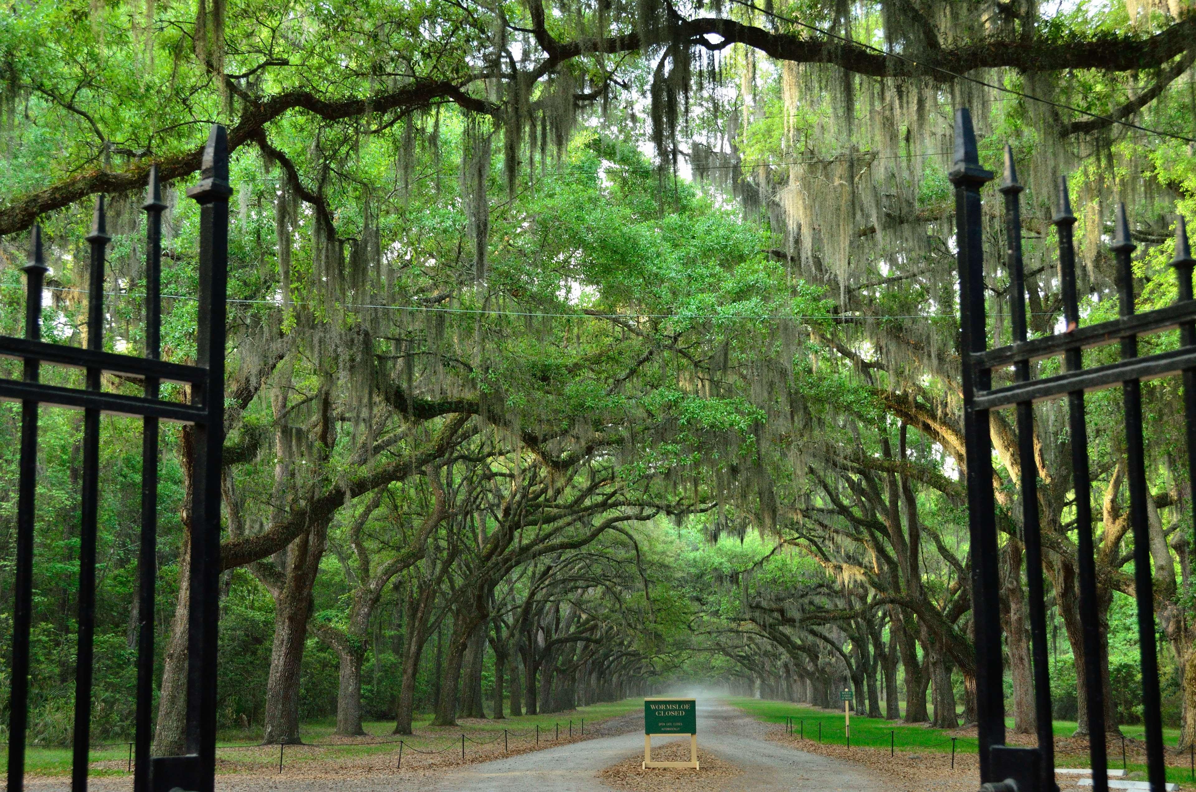 Best Western Central Inn Savannah Exterior foto